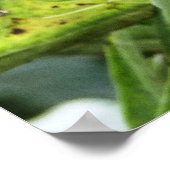 蜂 ポスター (角)