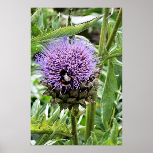 蜂 ポスター (正面)