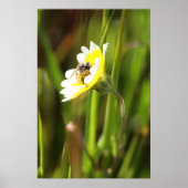 "蜂" ポスター (正面)