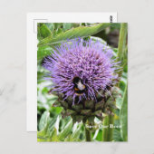 蜂 ポストカード (正面/裏面)