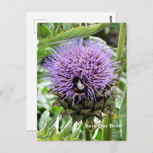 蜂 ポストカード (正面/裏面)