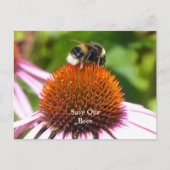 蜂 ポストカード (正面)