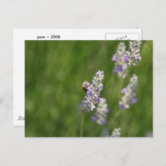 蜂 ポストカード (正面/裏面)