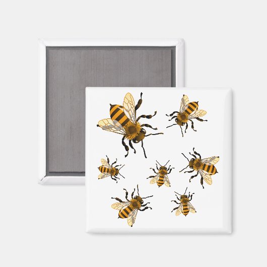 蜂 マグネット (正面/裏面)