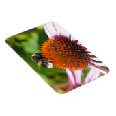 蜂 マグネット (右側)