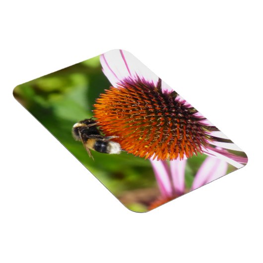 蜂 マグネット (右側)