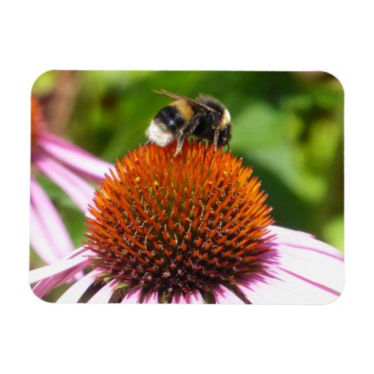 蜂 マグネット (横)