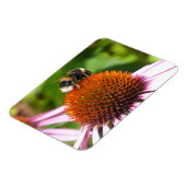 蜂 マグネット (左側)