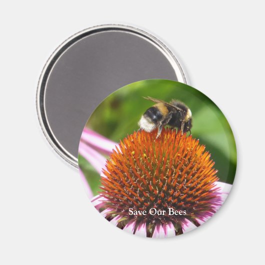 蜂 マグネット (正面/裏面)