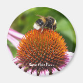 蜂 マグネット (正面)