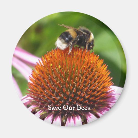 蜂 マグネット (正面)