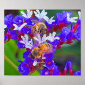 蜂、愛、至福 ポスター (正面)