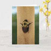 蜂zilla カード (黄色い花)