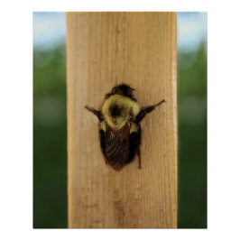 蜂zilla ポスター