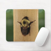 蜂zilla マウスパッド (マウス)