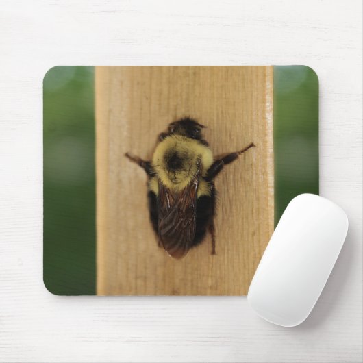蜂zilla マウスパッド (マウス)