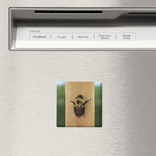 蜂zilla マグネット (インサイチュ (食洗機))