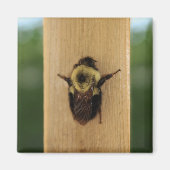 蜂zilla マグネット (正面)