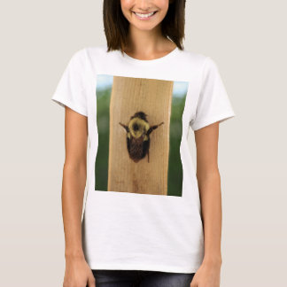 蜂zilla tシャツ