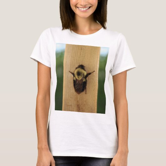 蜂zilla tシャツ (正面)