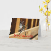 蜘蛛がくもの巣に入っている。 カード (黄色い花)