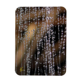 蜘蛛の巣に輝く露の滴 瞑想 マグネット