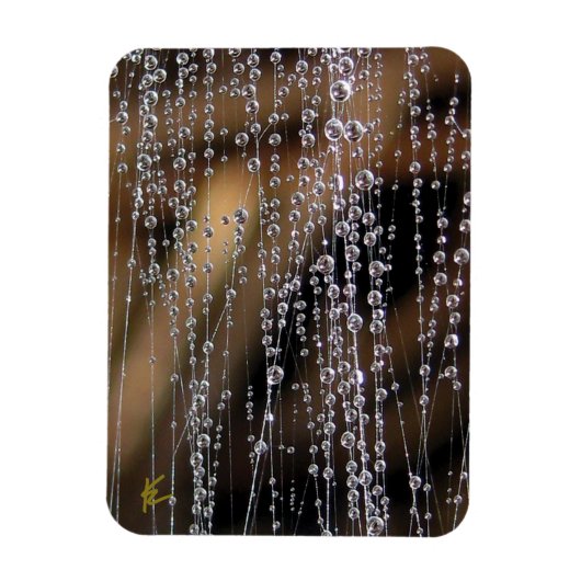 蜘蛛の巣に輝く露の滴 瞑想 マグネット (縦)
