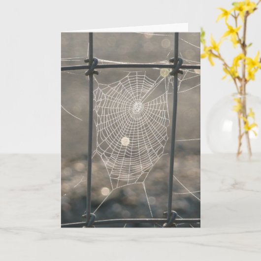 蜘蛛の巣カード カード (黄色い花)