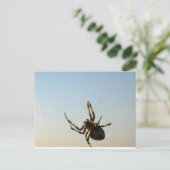 蜘蛛の葉書が置かれていた ポストカード (スタンド正面)