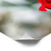 蜜を探す フォトプリント            (角)