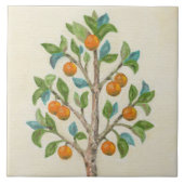 蜜柑木の壁のタイル タイル (正面)