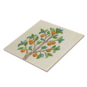 蜜柑木の壁のタイル タイル (側面)