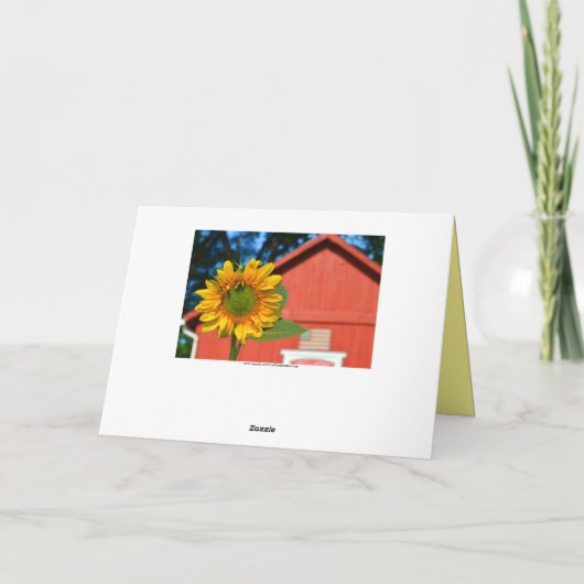 蜜蜂のひまわり カード (裏面)