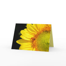 蜜蜂のひまわり