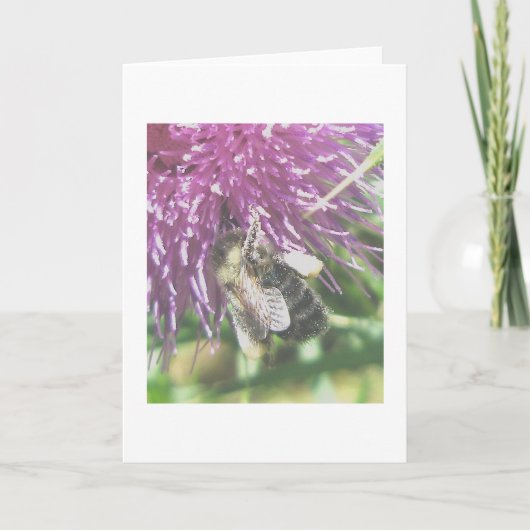 蜜蜂の種花粉ノートカード シーズンカード (正面)