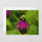 蜜蜂の美しい紫色の花の写真 ポストカード (正面/裏面)