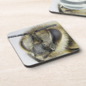 蜜蜂の頭部 コースター (左側)