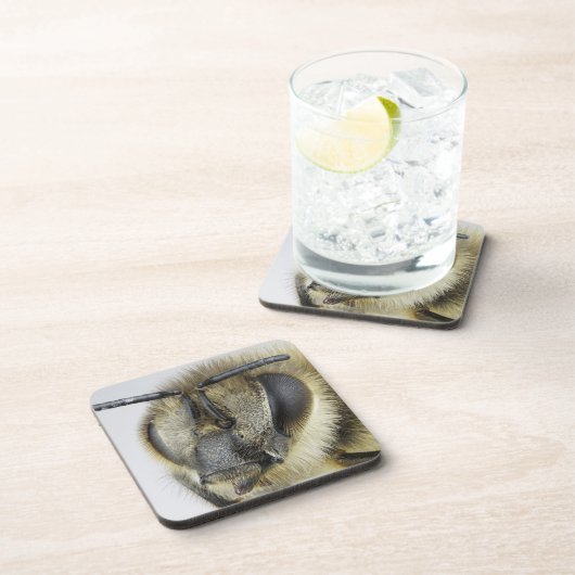 蜜蜂の頭部 コースター (右側)