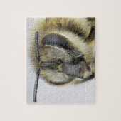 蜜蜂の頭部 ジグソーパズル (縦)