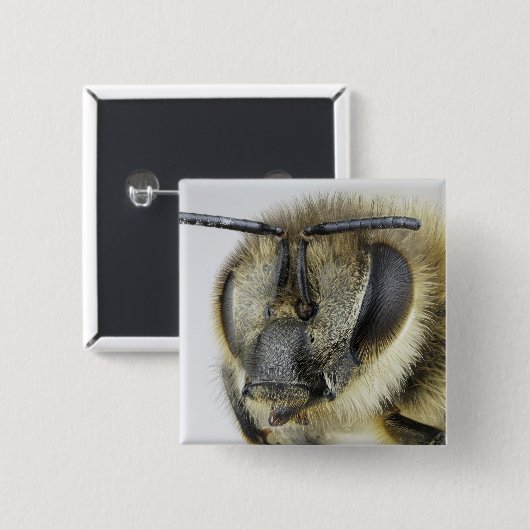 蜜蜂の頭部 缶バッジ (正面&裏面)