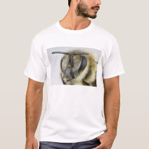 蜜蜂の頭部 Tシャツ