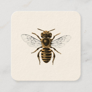 蜜蜂のApiary スクエア名刺