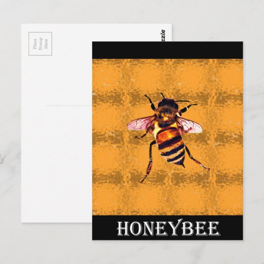 蜜蜂 ポストカード (正面/裏面)