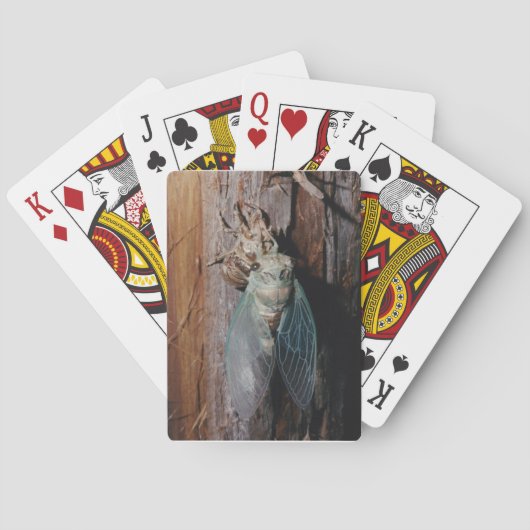 蝉は翼を乾かす トランプ (裏面)