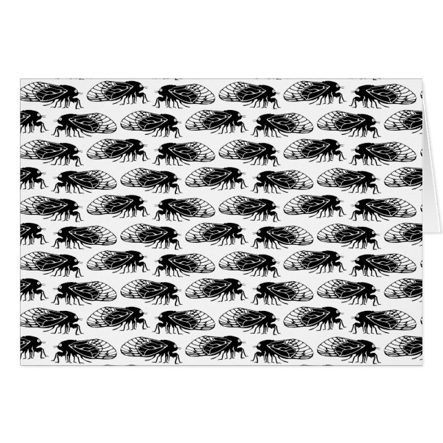 蝉-素数ゼミ-出現のエレガントなパターン (正面横)