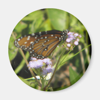 蝶々が花に着陸する マグネット