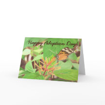 蝶々さんハッピーマイナスデー！