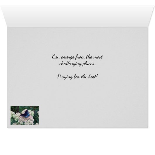 蝶々の挑戦地の出現 (内部横(下))