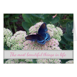 蝶々の挑戦地の出現