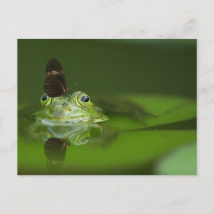 蝶々を鼻にかけたかわいいカエル ポストカード